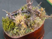 Diorama depicting a scene from the 1989 US military intervention in Panama - photo No. 7 - close-up