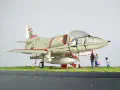 The photo shows a plastic model of the American Douglas A-4B Skyhawk attack aircraft - photo No. 12